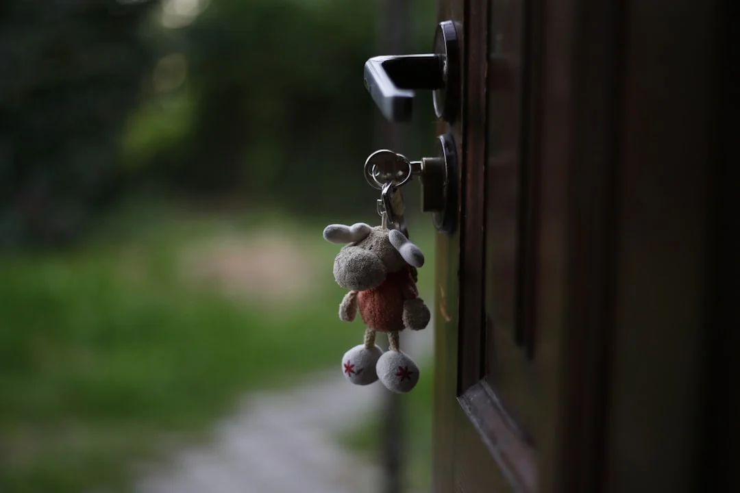 Photo House keys